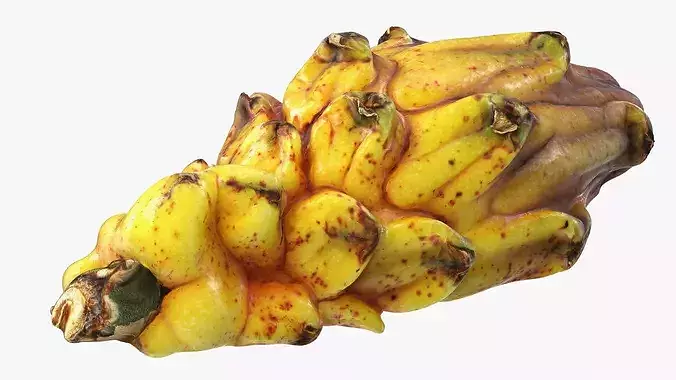 Yellow Dragon Fruit Half 3D model 6