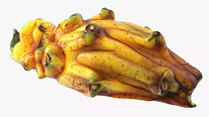 Yellow Dragon Fruit Half 3D model 7