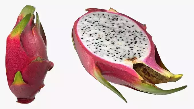 Dragon Fruit Half 3D model 7