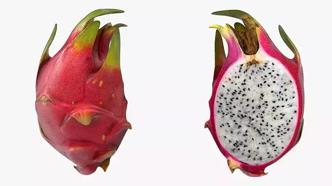 Dragon Fruit Half 3D model 6