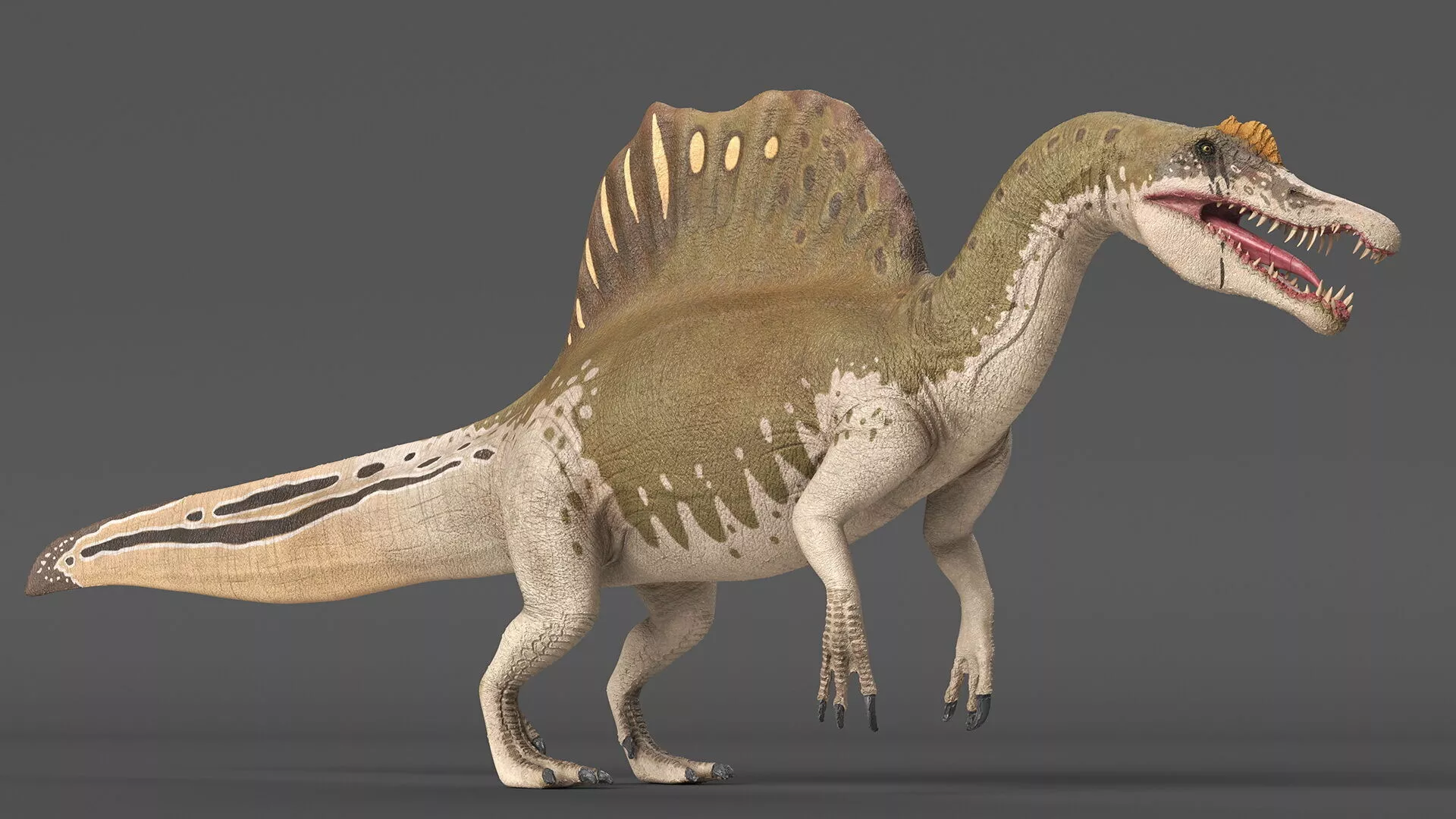 Dinosaur Spinosaurus Yellow Rigged 3D model