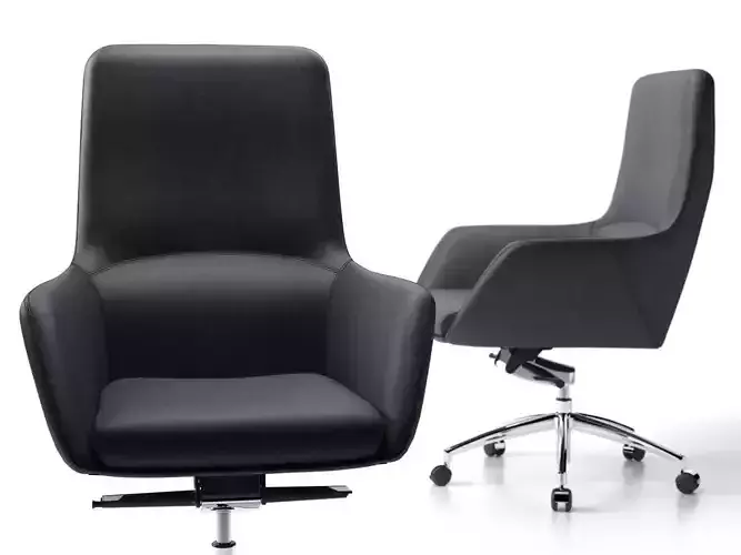 Darwin Swivel Medium