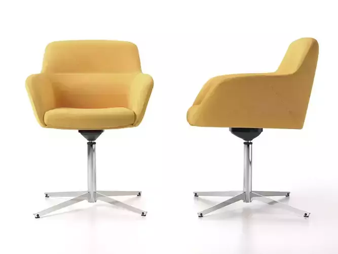 Darwin 4-Star 3D model