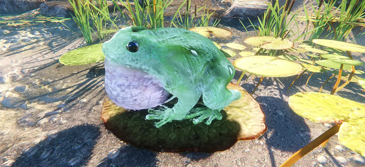 Frog the Adventurer 3D model_0
