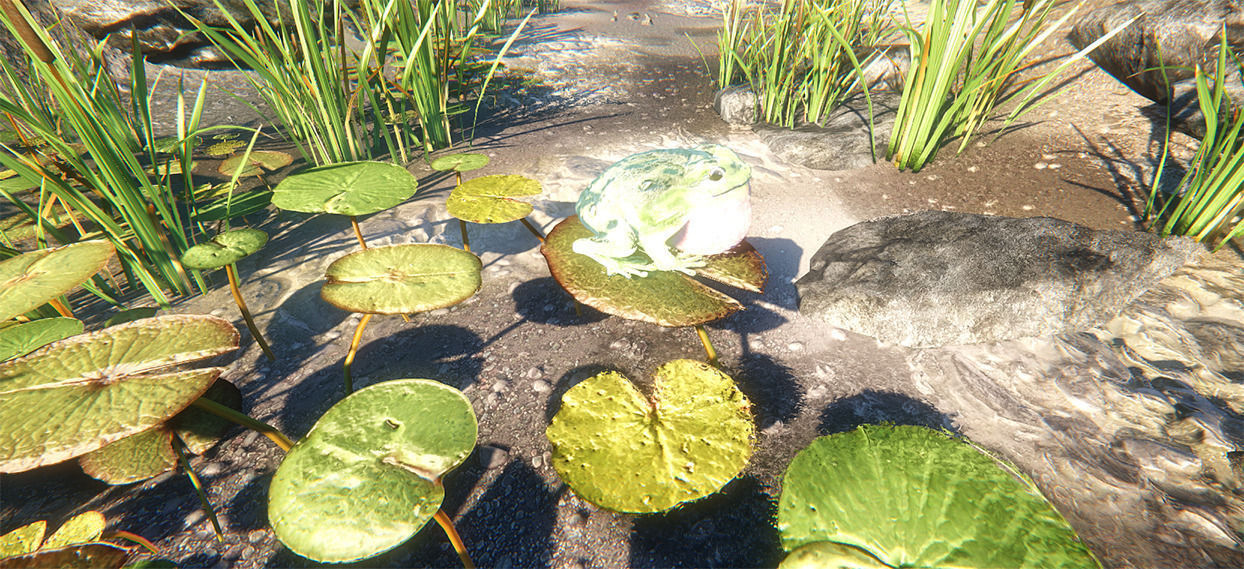 Frog the Adventurer 3D model_1