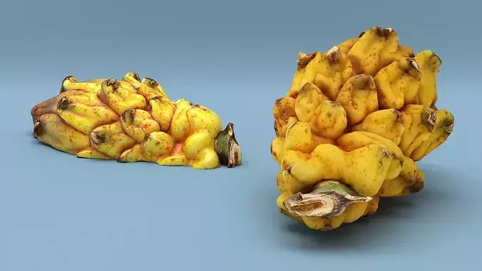 Dragon Fruit Whole and Half Yellow 3D model 6