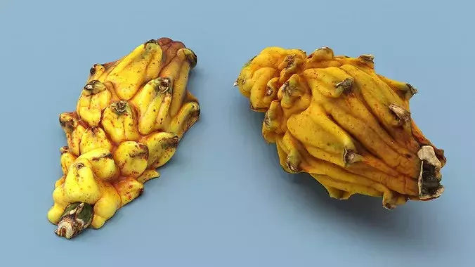 Dragon Fruit Whole and Half Yellow 3D model 5