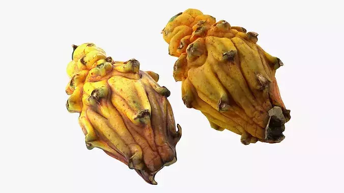 Dragon Fruit Whole and Half Yellow 3D model 7