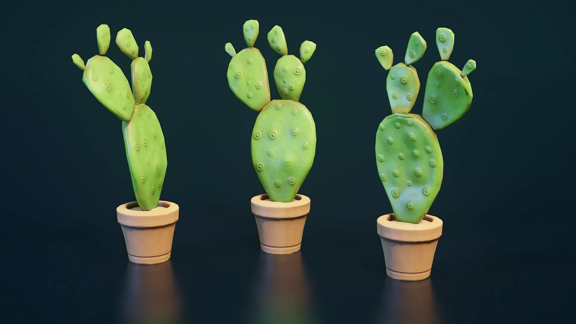 3d model Stylized House Plant 15 Low-poly 3D model