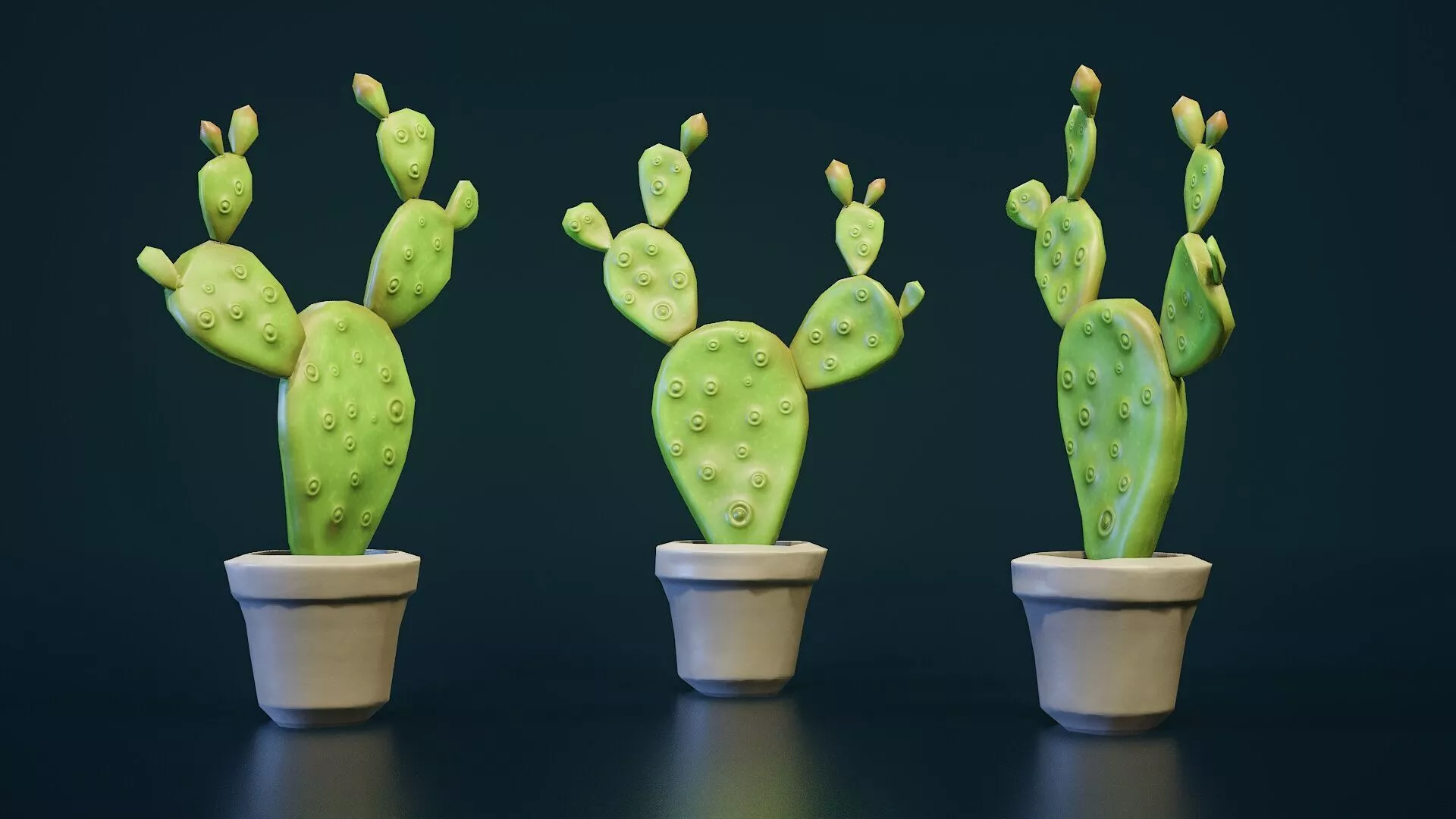 3d model Stylized House Plant 16 Low-poly 3D model