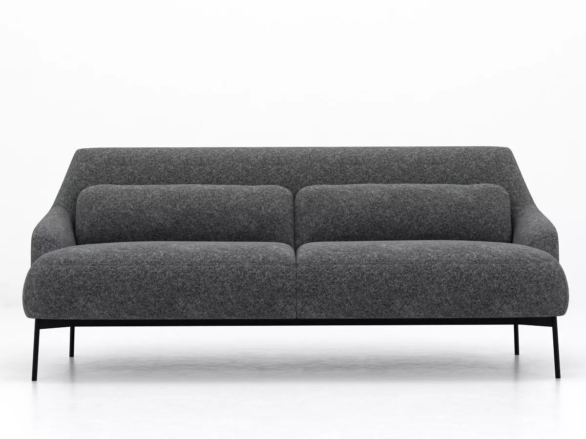 2-Seater Sofa 3D model_1