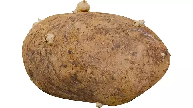 Potato 3D model 3