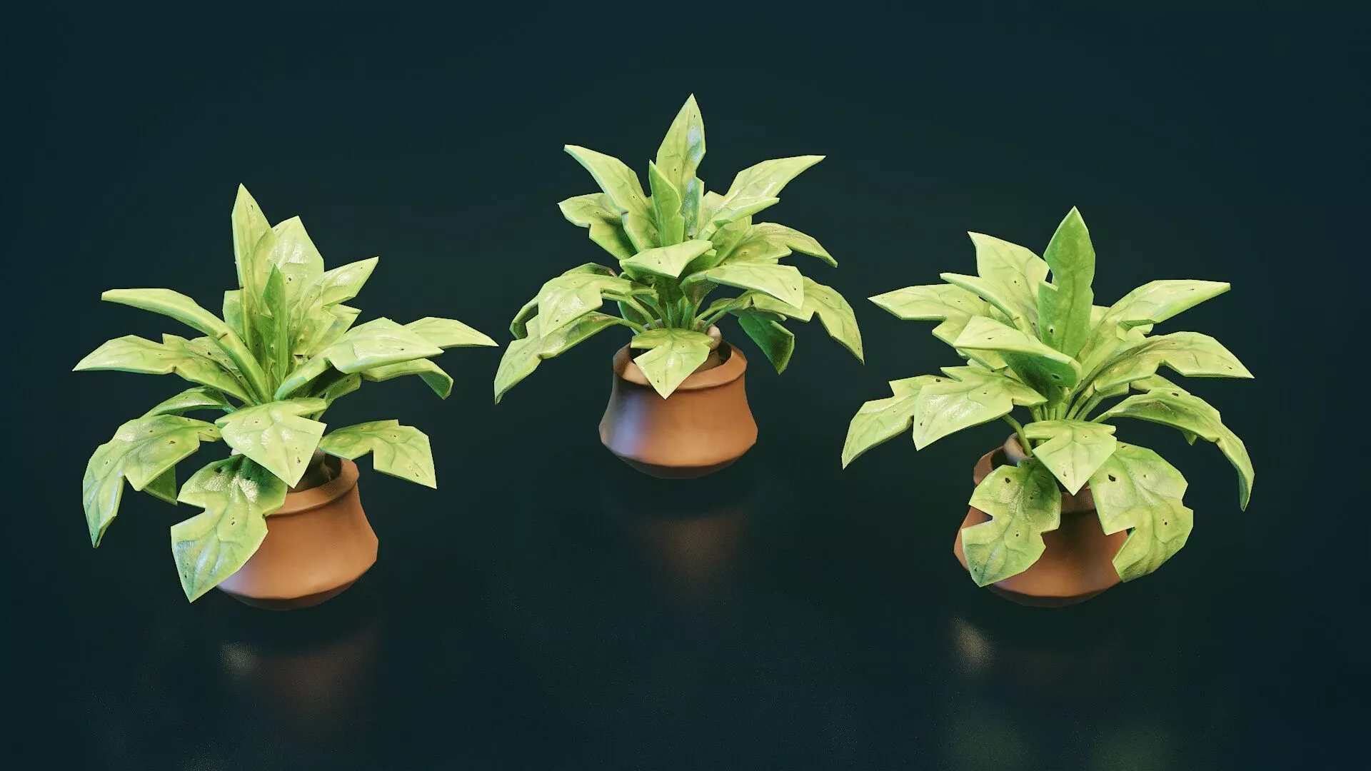 Stylized House Plant 19 Low-poly 3D model
