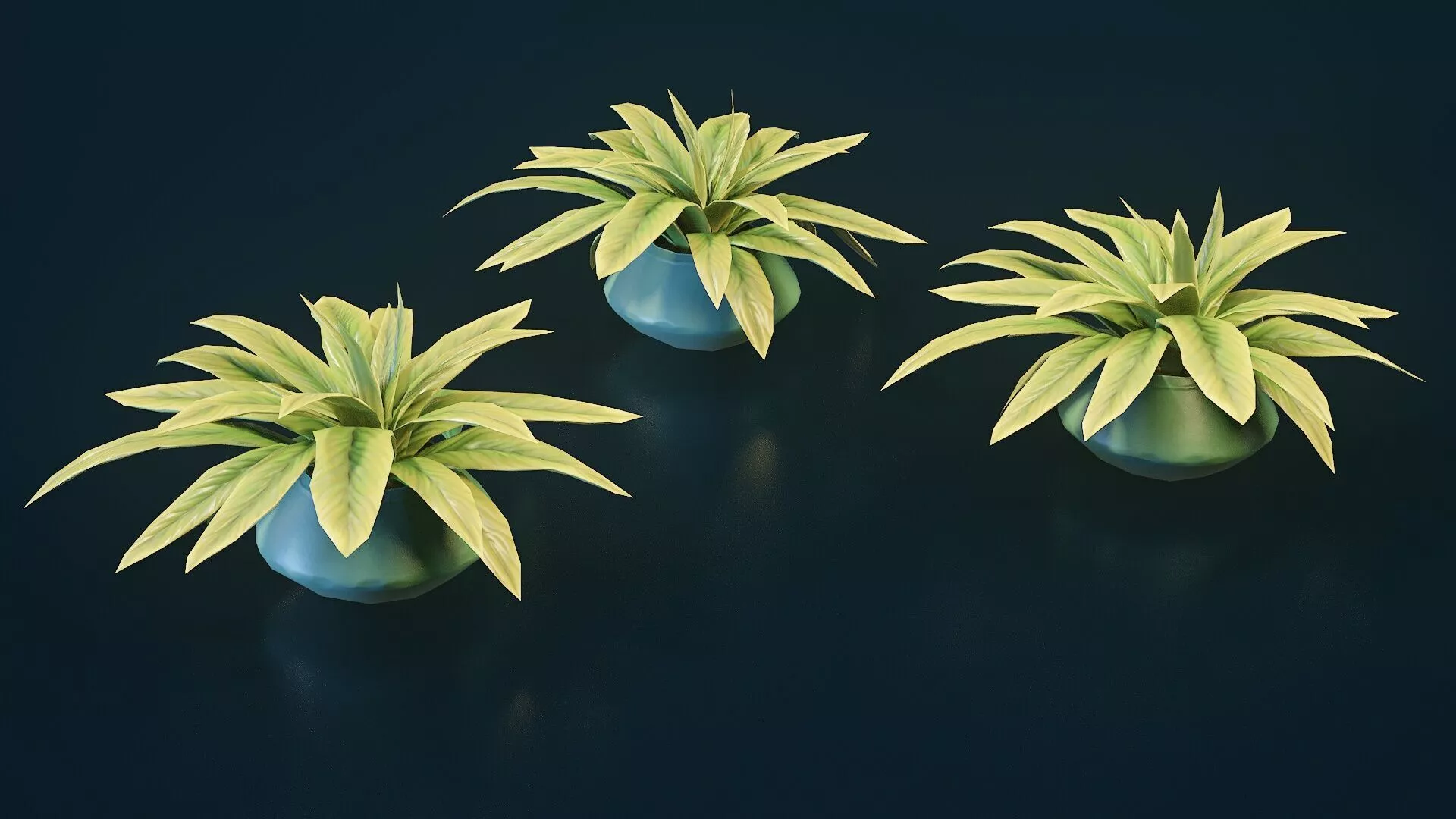 Stylized House Plant 20 Low-poly 3D model