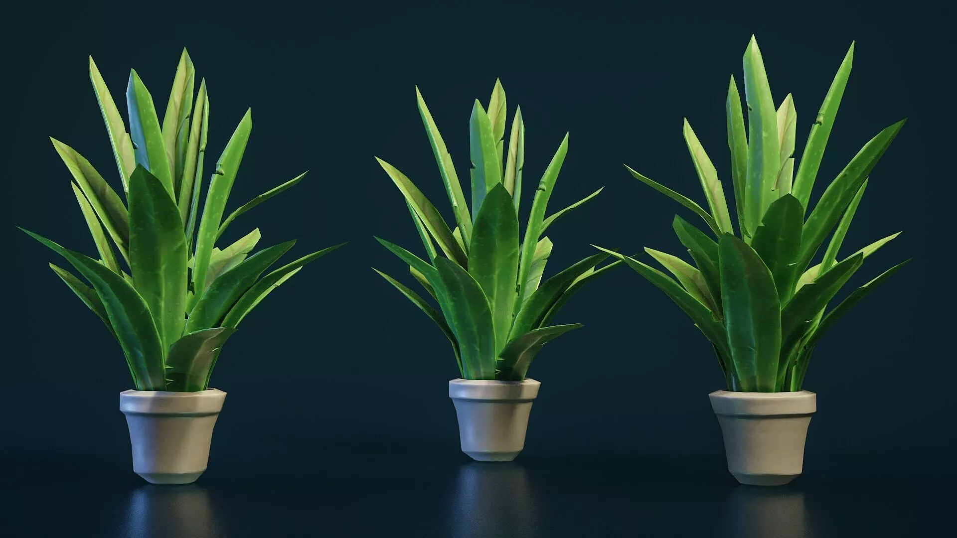 Stylized House Plant 21 Low-poly 3D model