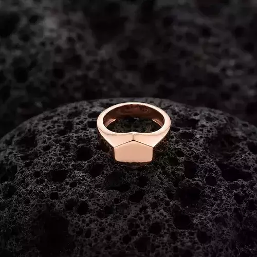 Jewelry Signet Ring v15 S Size 