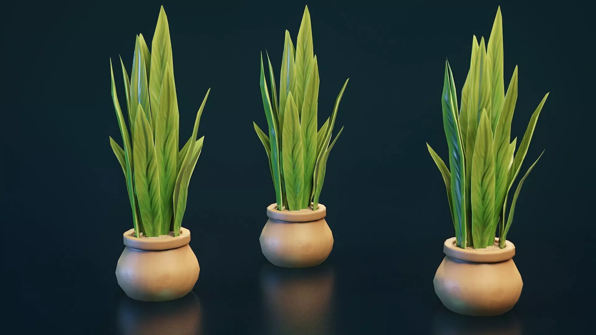 Stylized House Plant 22 Low-poly 3D model