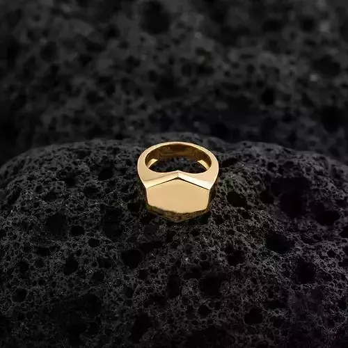 Jewelry Signet Ring v15 L Size