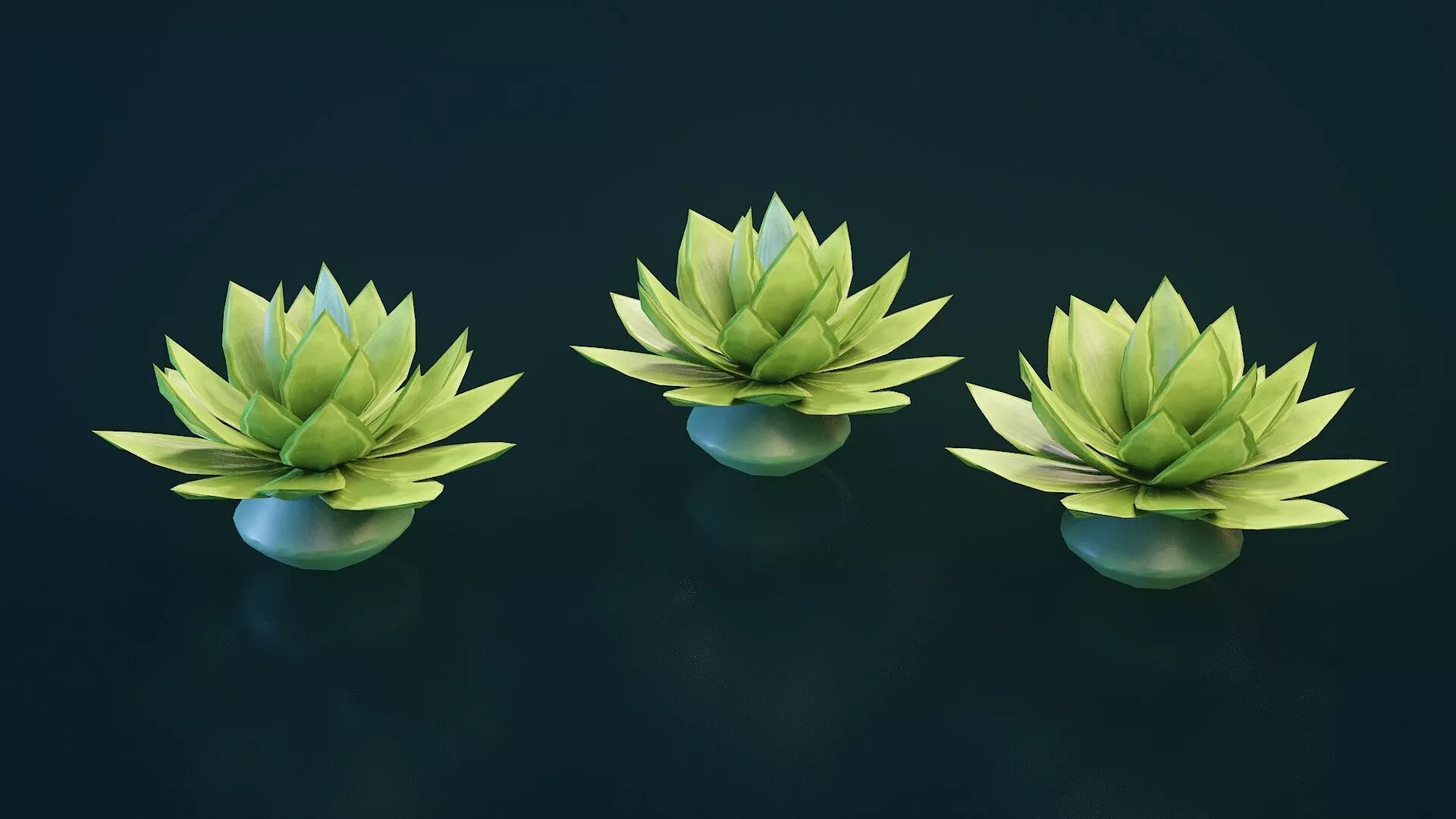 Stylized House Plant 24 Low-poly 3D model