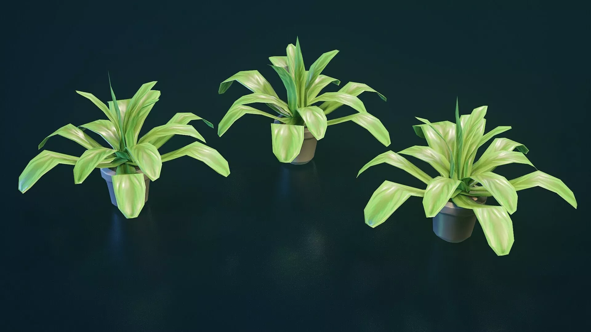 Stylized House Plant 25 Low-poly 3D model