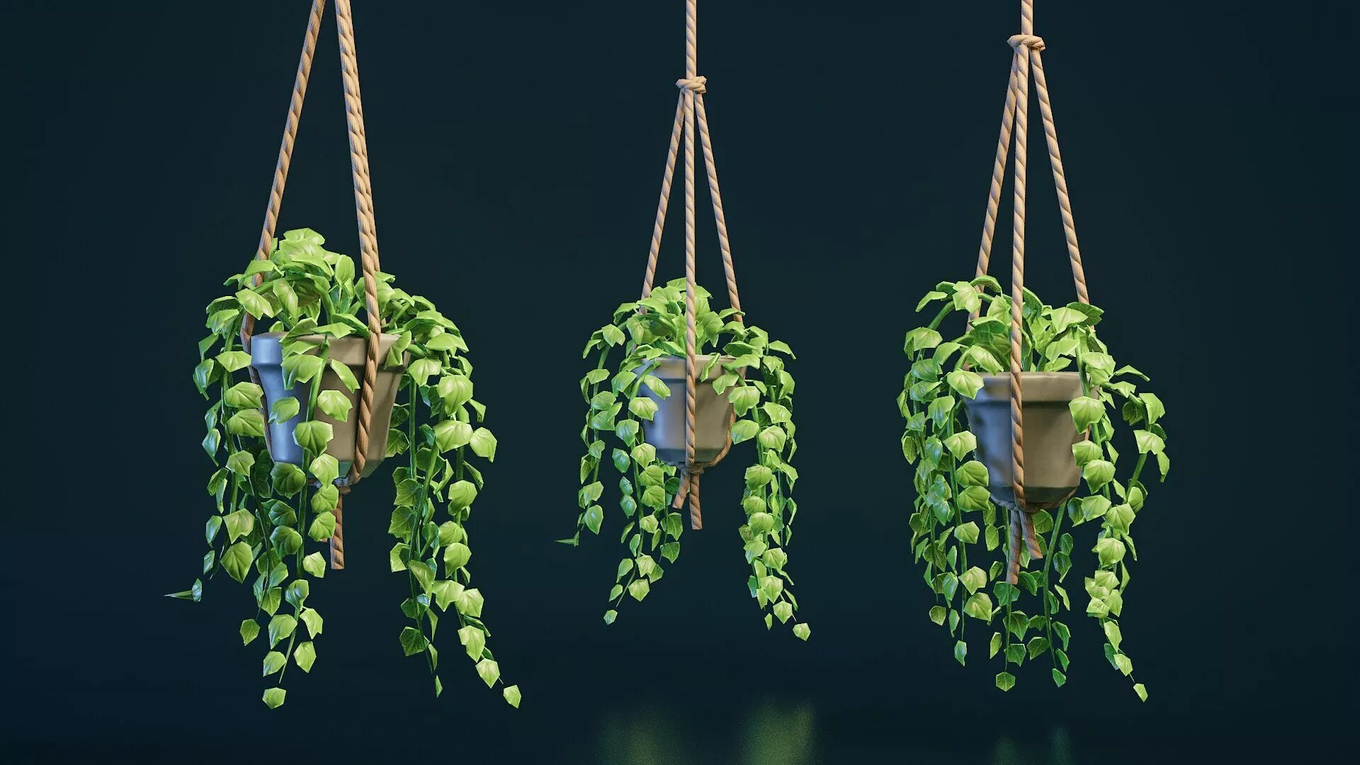 Stylized House Plant 27 Low-poly 3D model