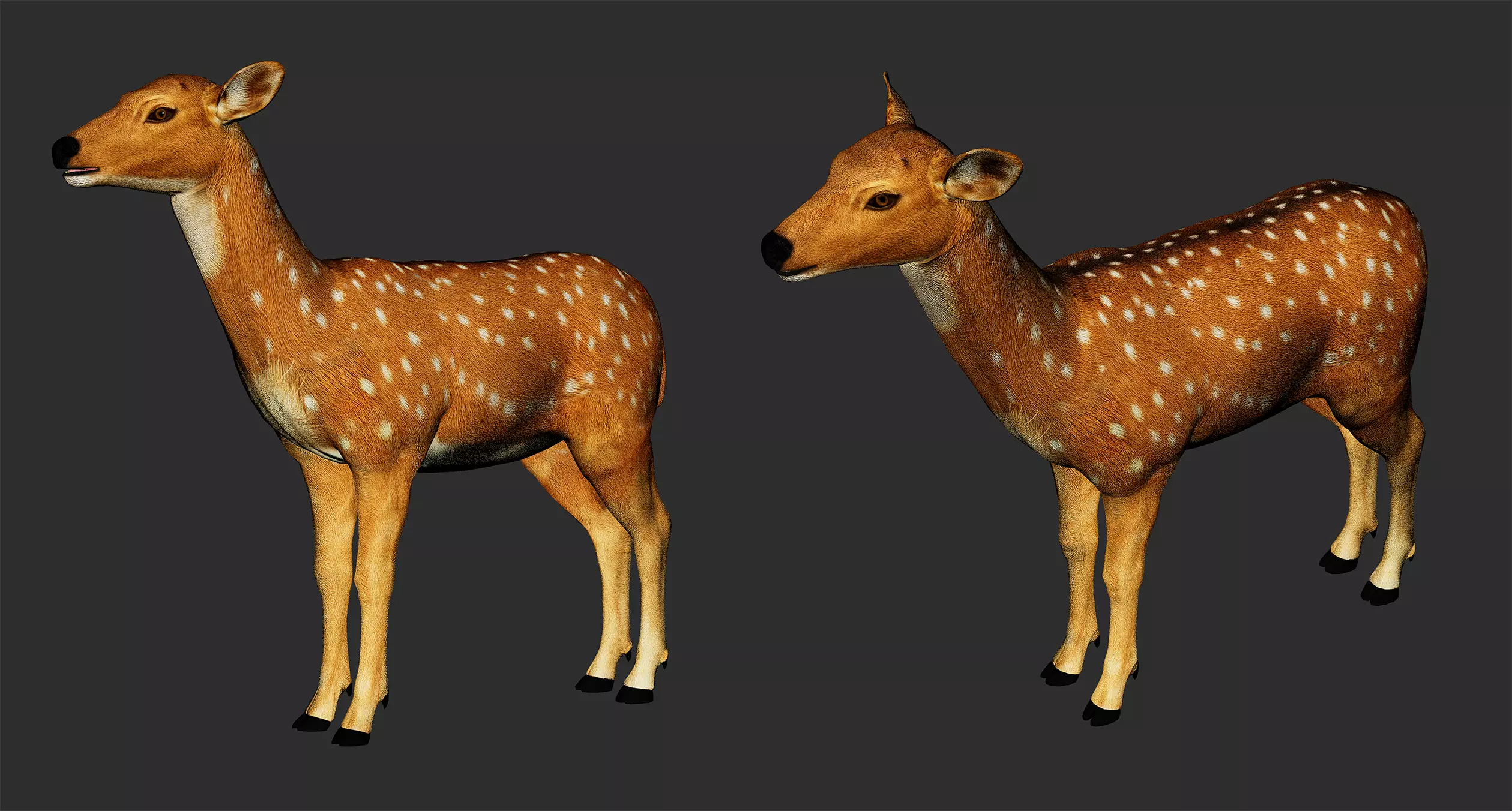 Realistic Deer Game Ready Character Low-poly 3D model