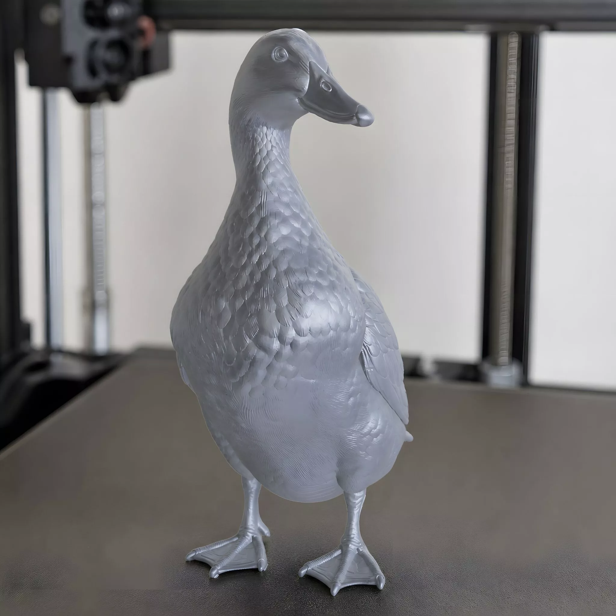 Standing Farm Duck 3D Print Model 3D print model