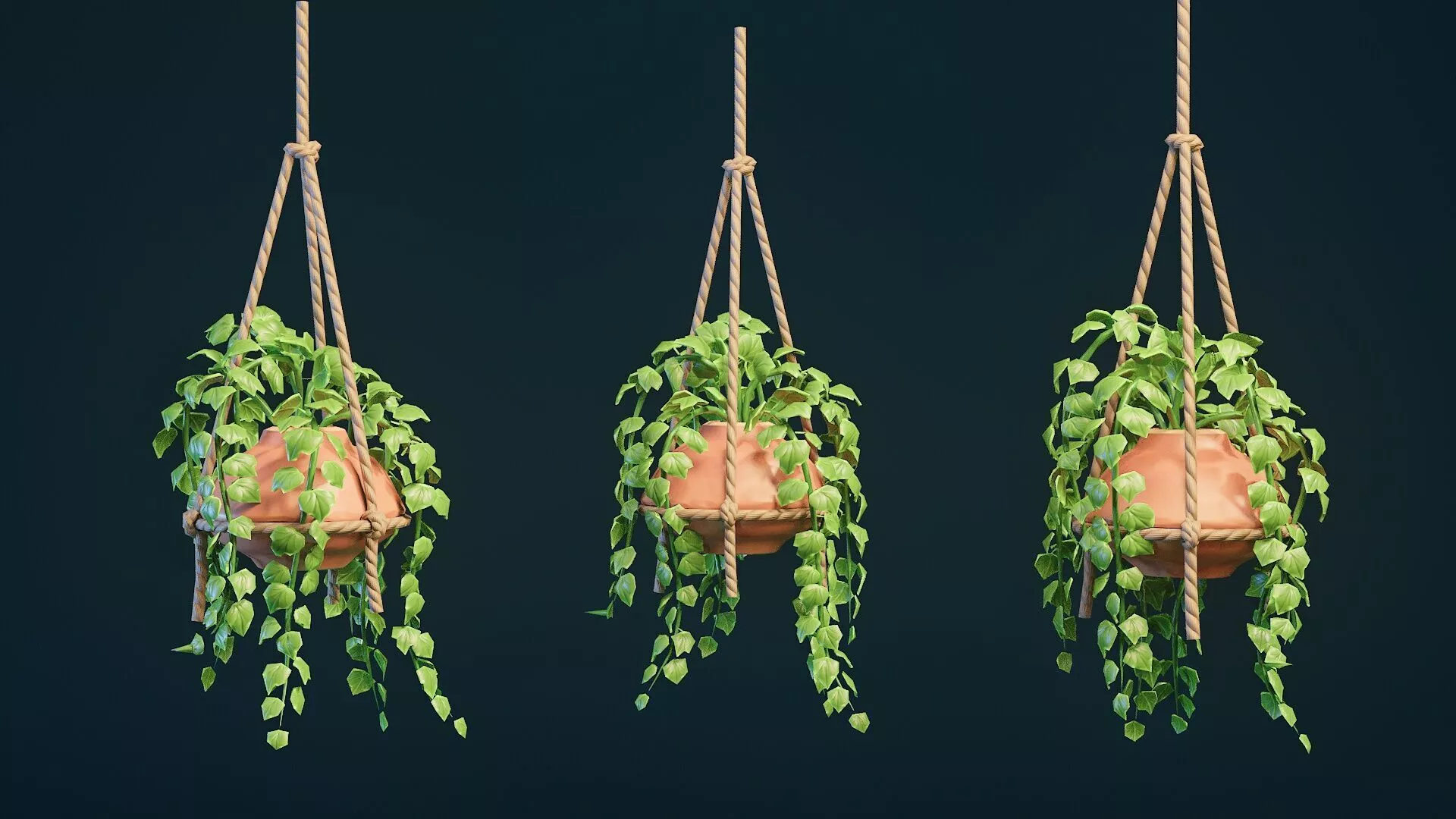 Stylized House Plant 28 Low-poly 3D model