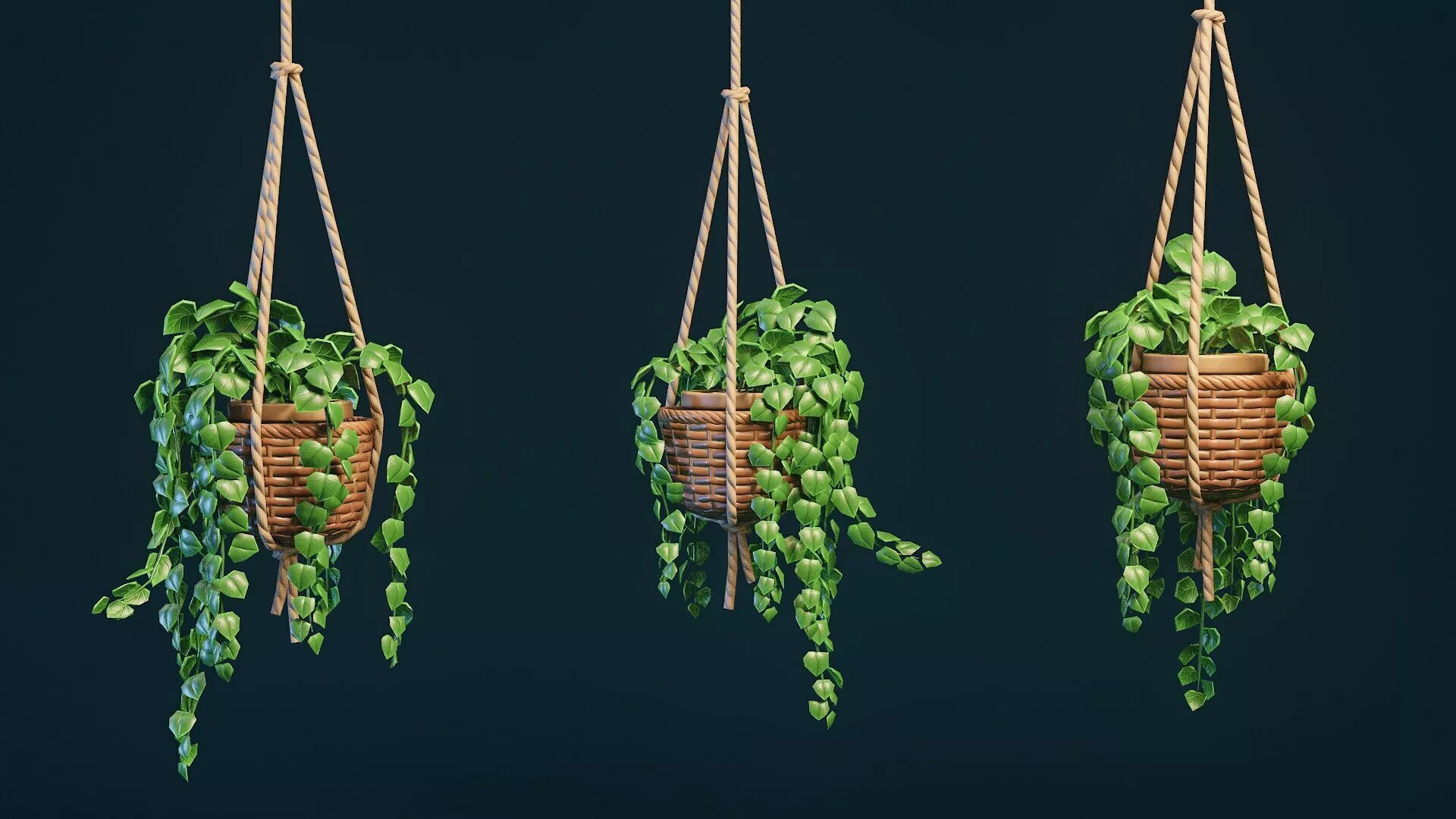 Stylized House Plant 29 Low-poly 3D model