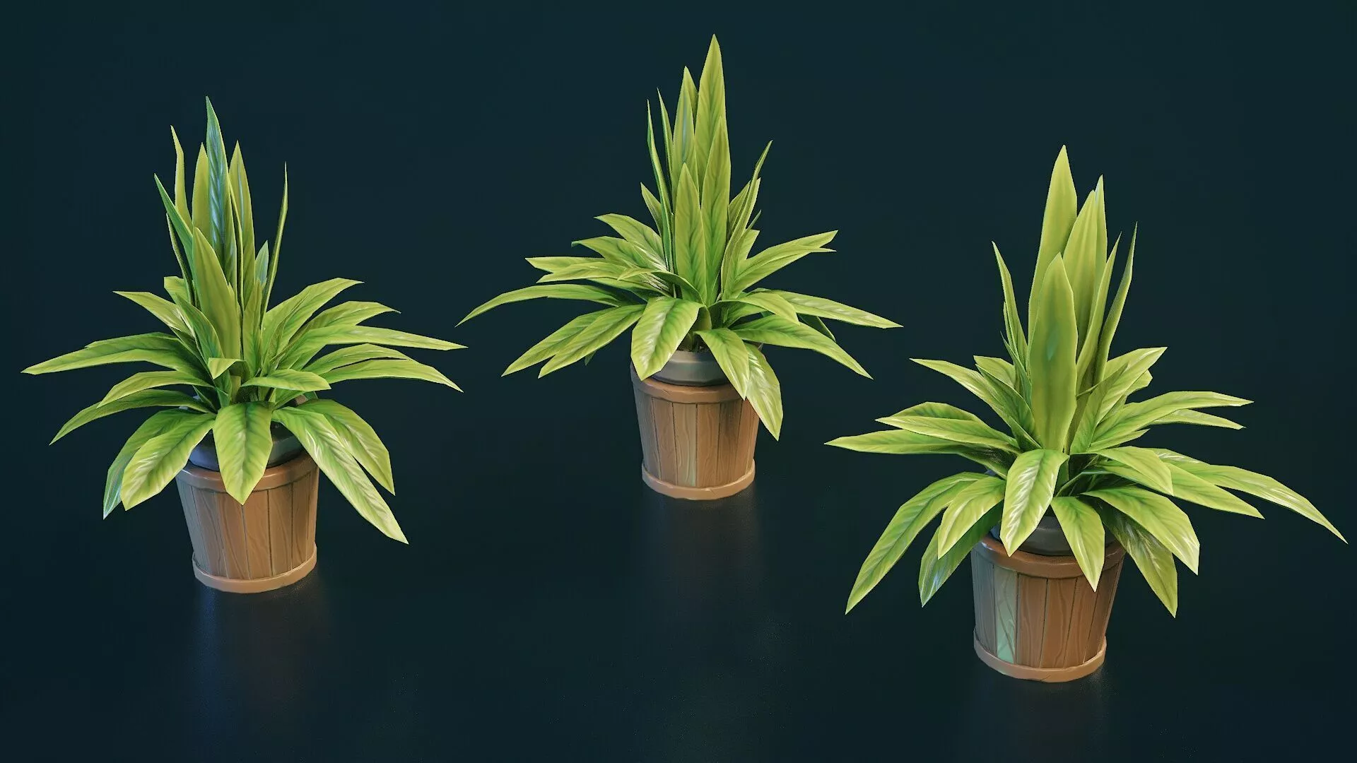 Stylized House Plant 30 Low-poly 3D model