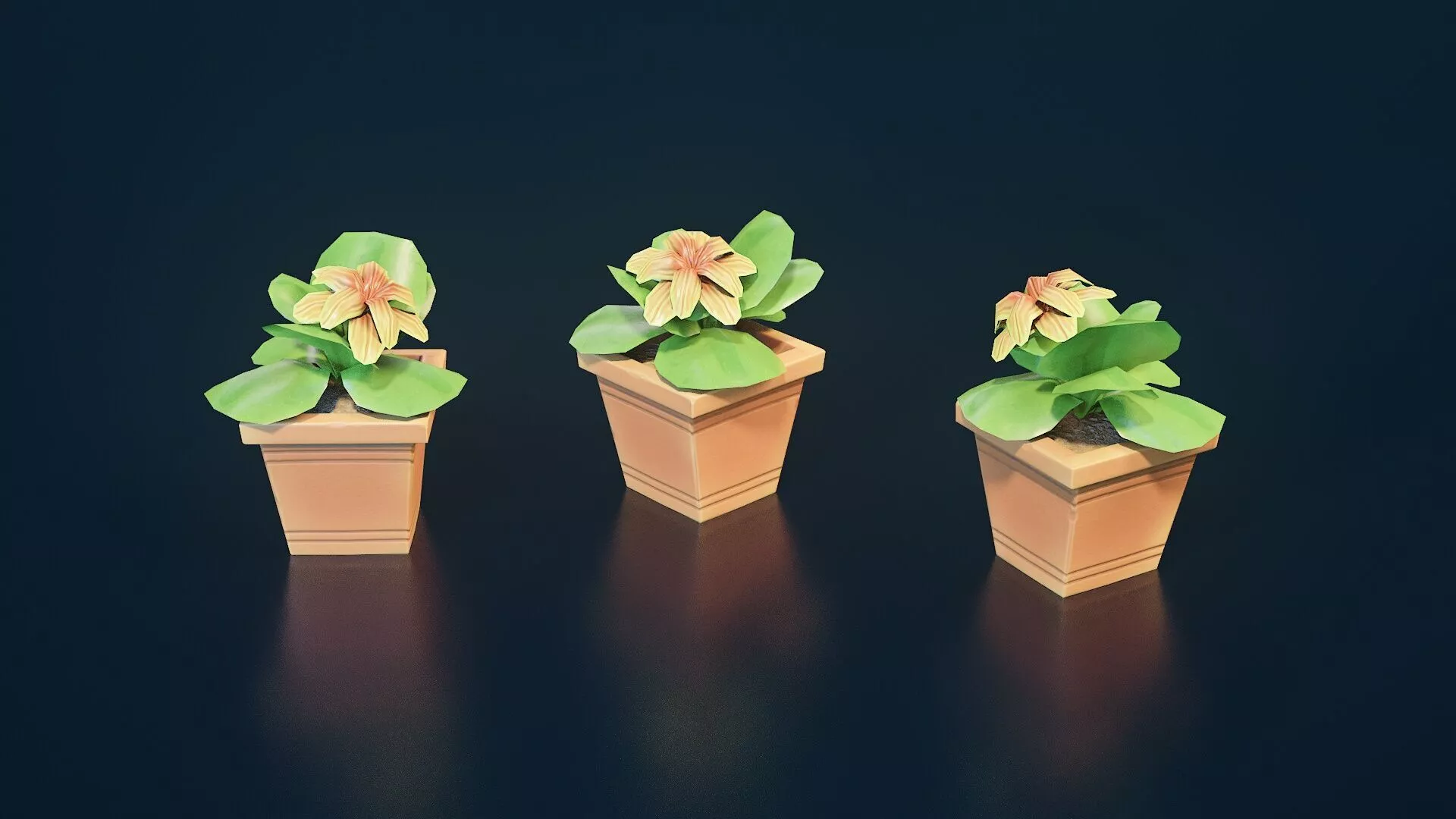 Stylized House Plant 31 Low-poly 3D model