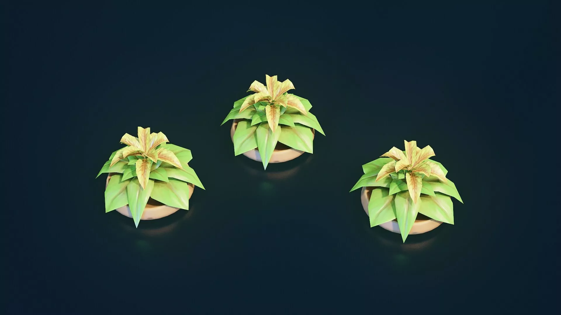 Stylized House Plant 32 Low-poly 3D model
