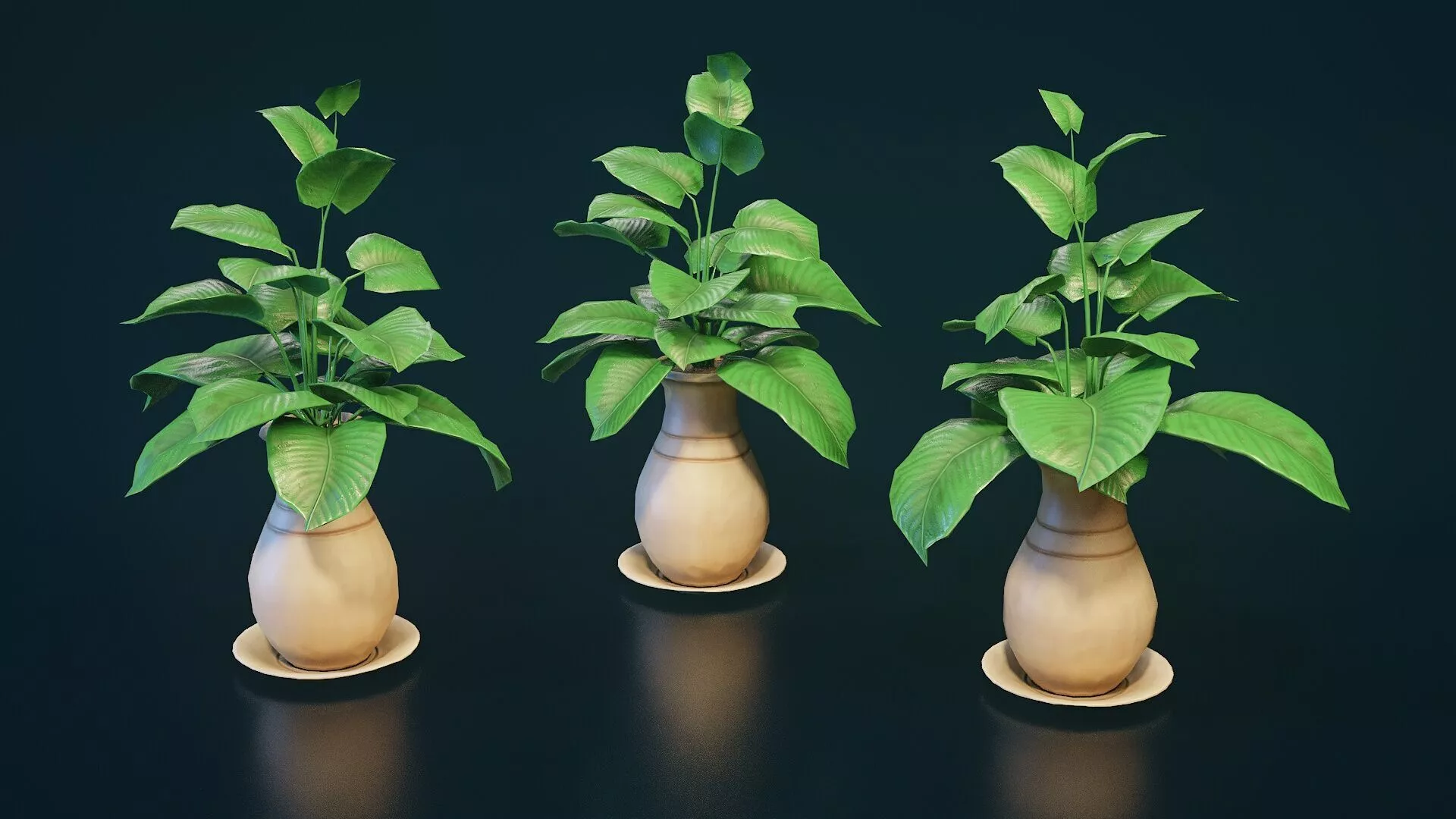 Stylized House Plant 33 Low-poly 3D model