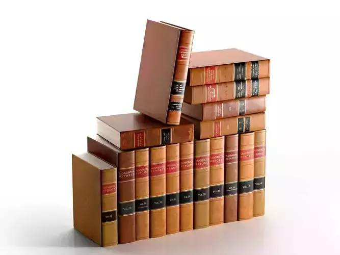 Set of Antique American Leather Bound Law Books 3D model