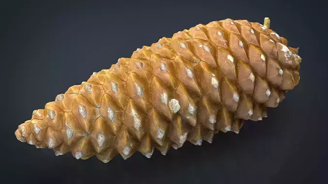 Pinecone pine cone Low-poly 3D model