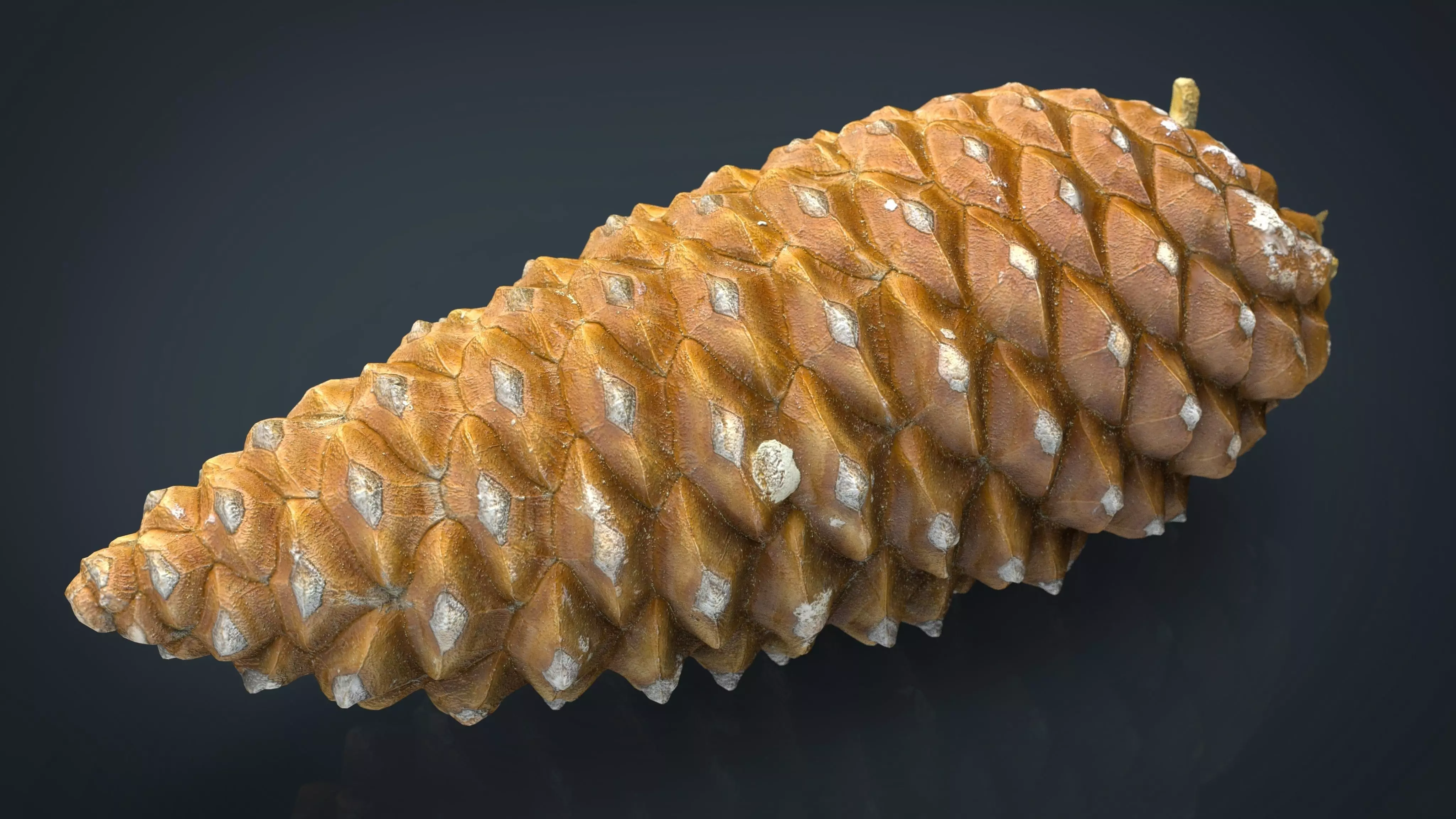 Pinecone pine cone Low-poly 3D model