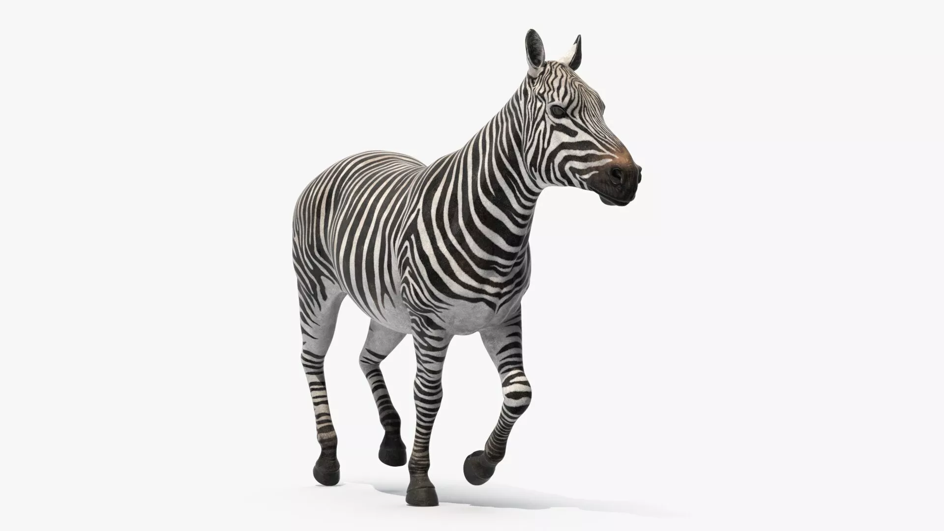 Striped Equine Running for 3D Print 3D print model