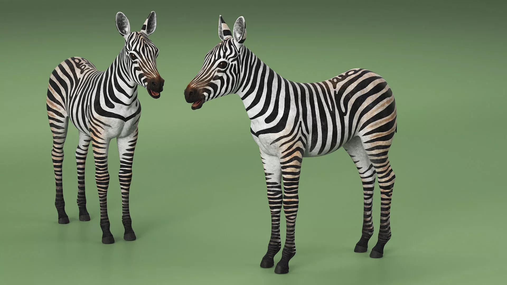 Zebra Foal for 3D Print 3D print model