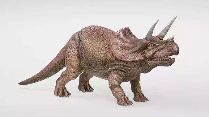  Realistic Triceratops Dinosaur Prehistoric Creature