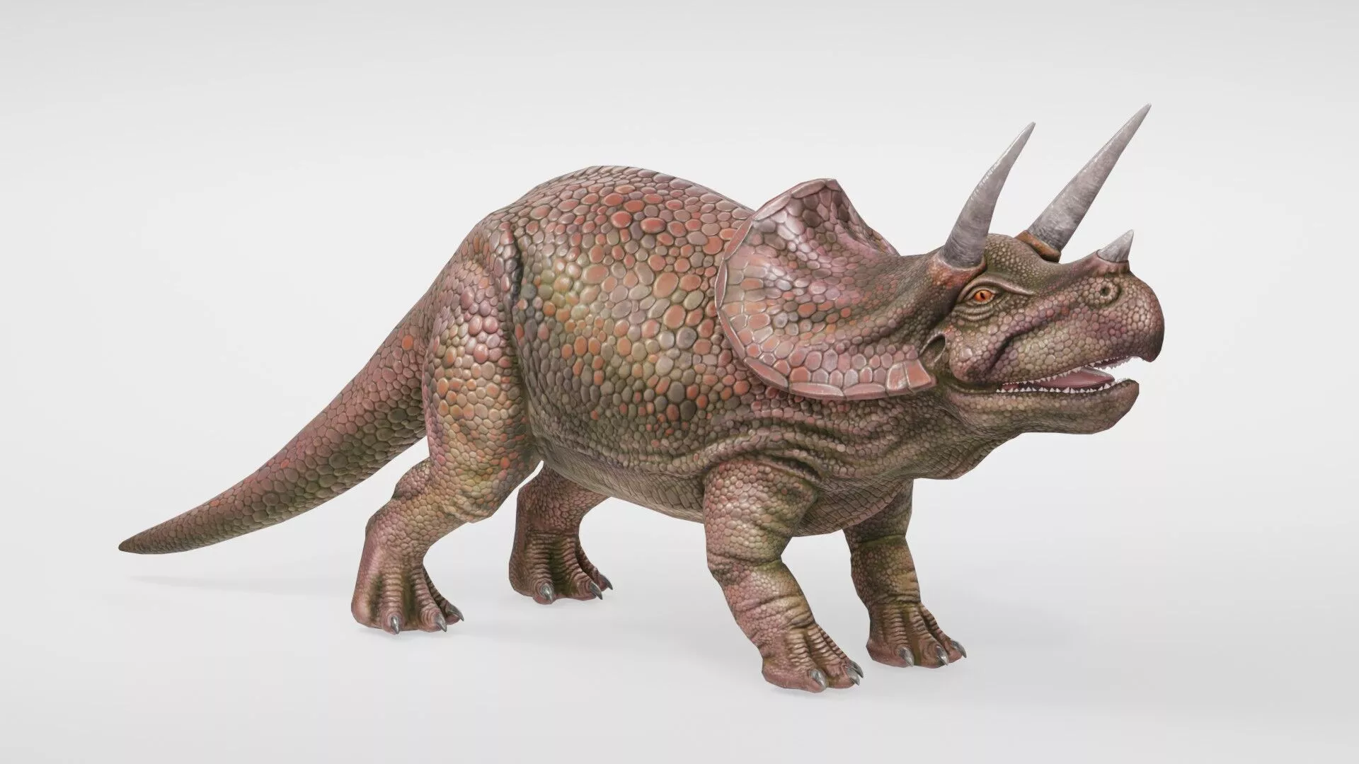 Realistic Triceratops Dinosaur Prehistoric Creature Low-poly 3D model