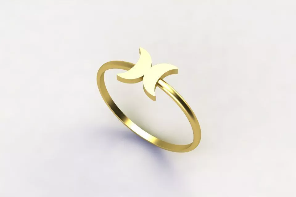 Dainty Ring Mirror double MOON dailyuse ring 3D print model