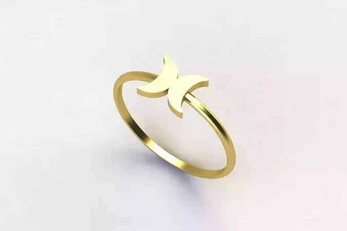 Dainty Ring Mirror double MOON dailyuse ring