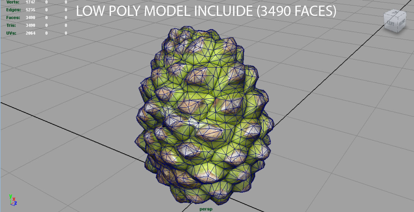 Pinecone 2 pineapple Low-poly 3D model_5