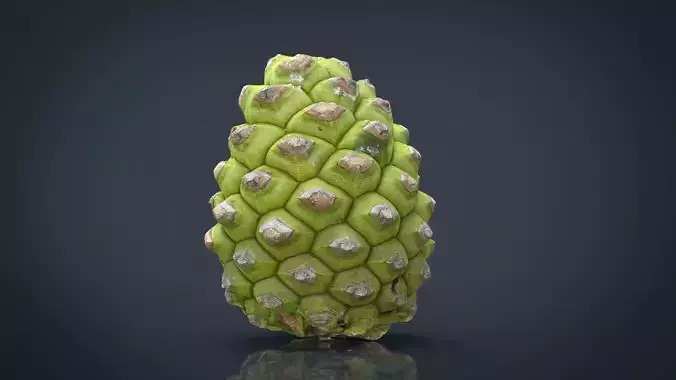 Pinecone 2 pineapple Low-poly 3D model