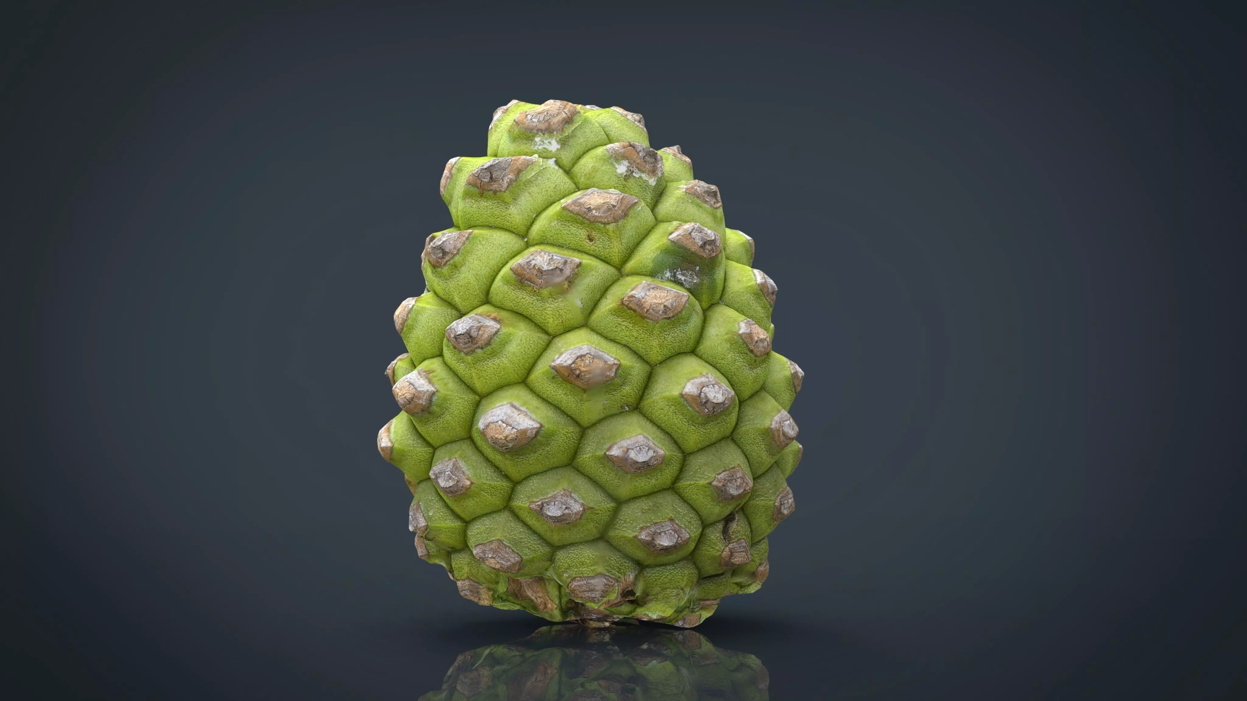 Pinecone 2 pineapple Low-poly 3D model_0