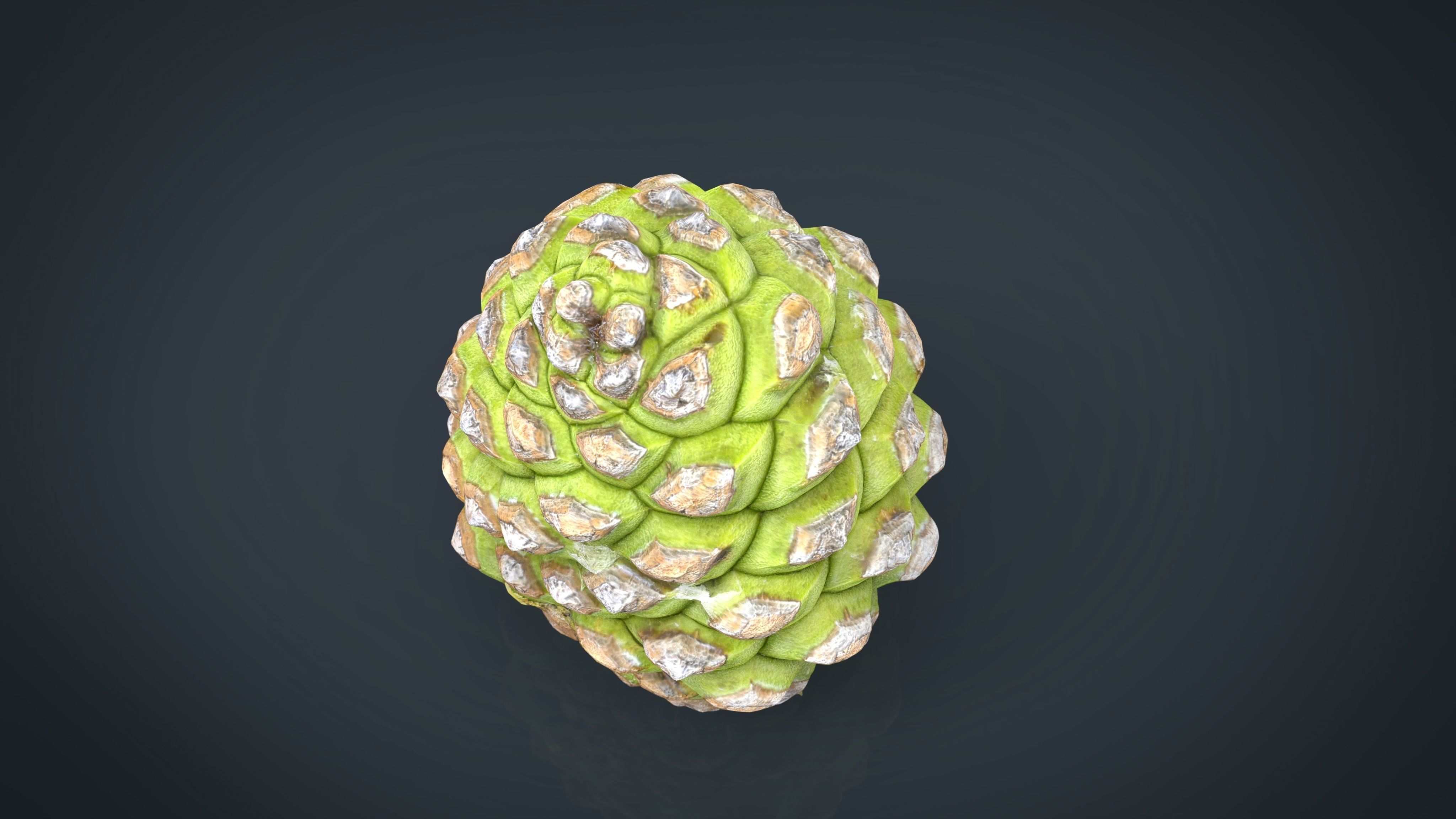 Pinecone 2 pineapple Low-poly 3D model_12