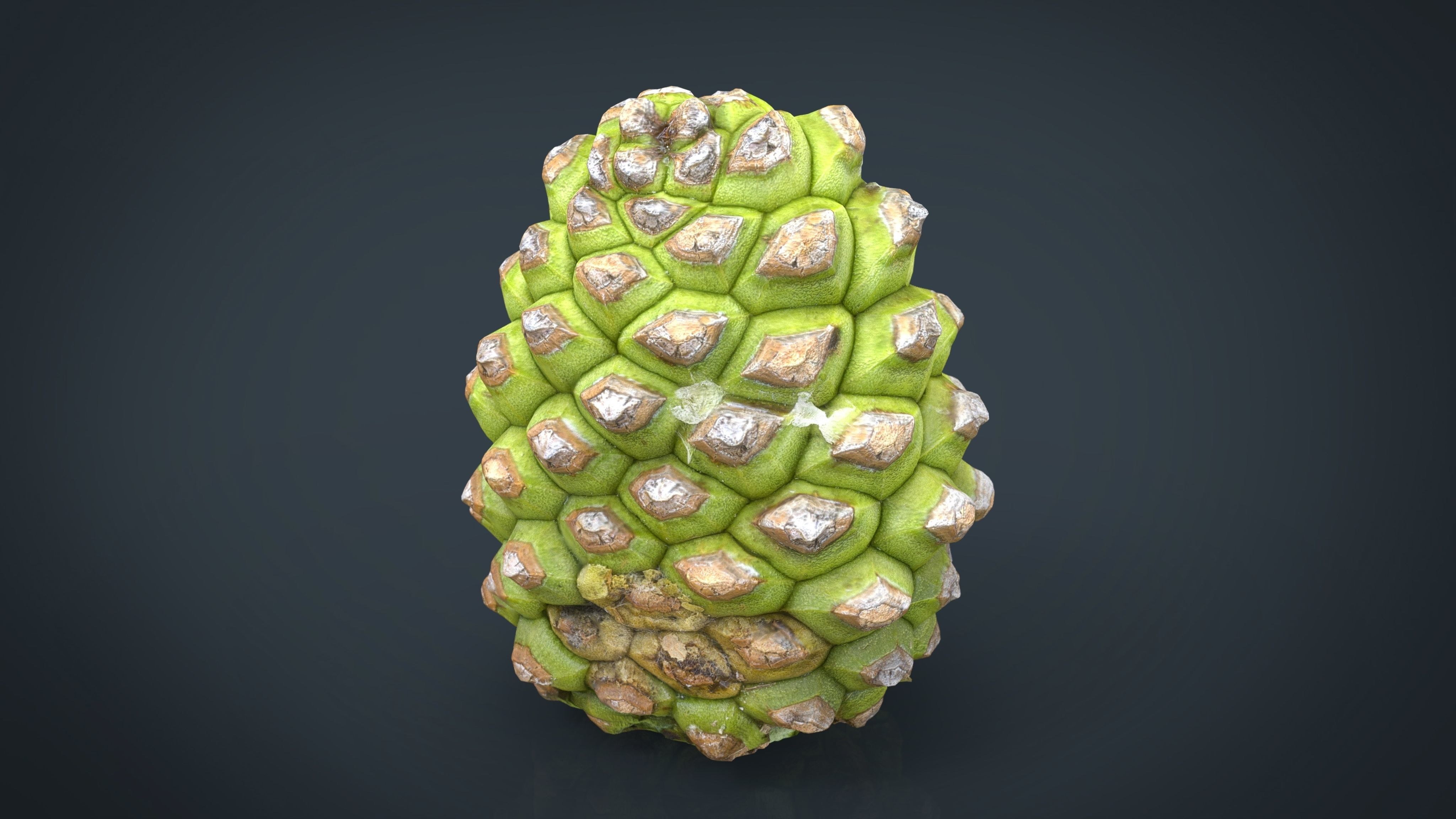 Pinecone 2 pineapple Low-poly 3D model_11