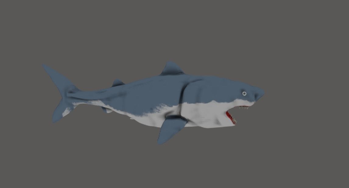 Shark 3D model_1