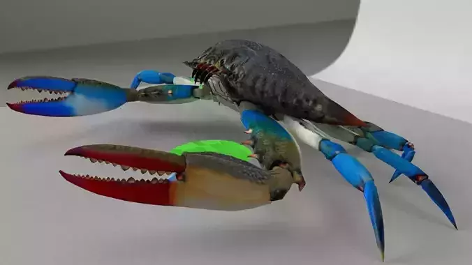 Blue Crab Enemy Poison dripping off the Fangs  setup for UE4