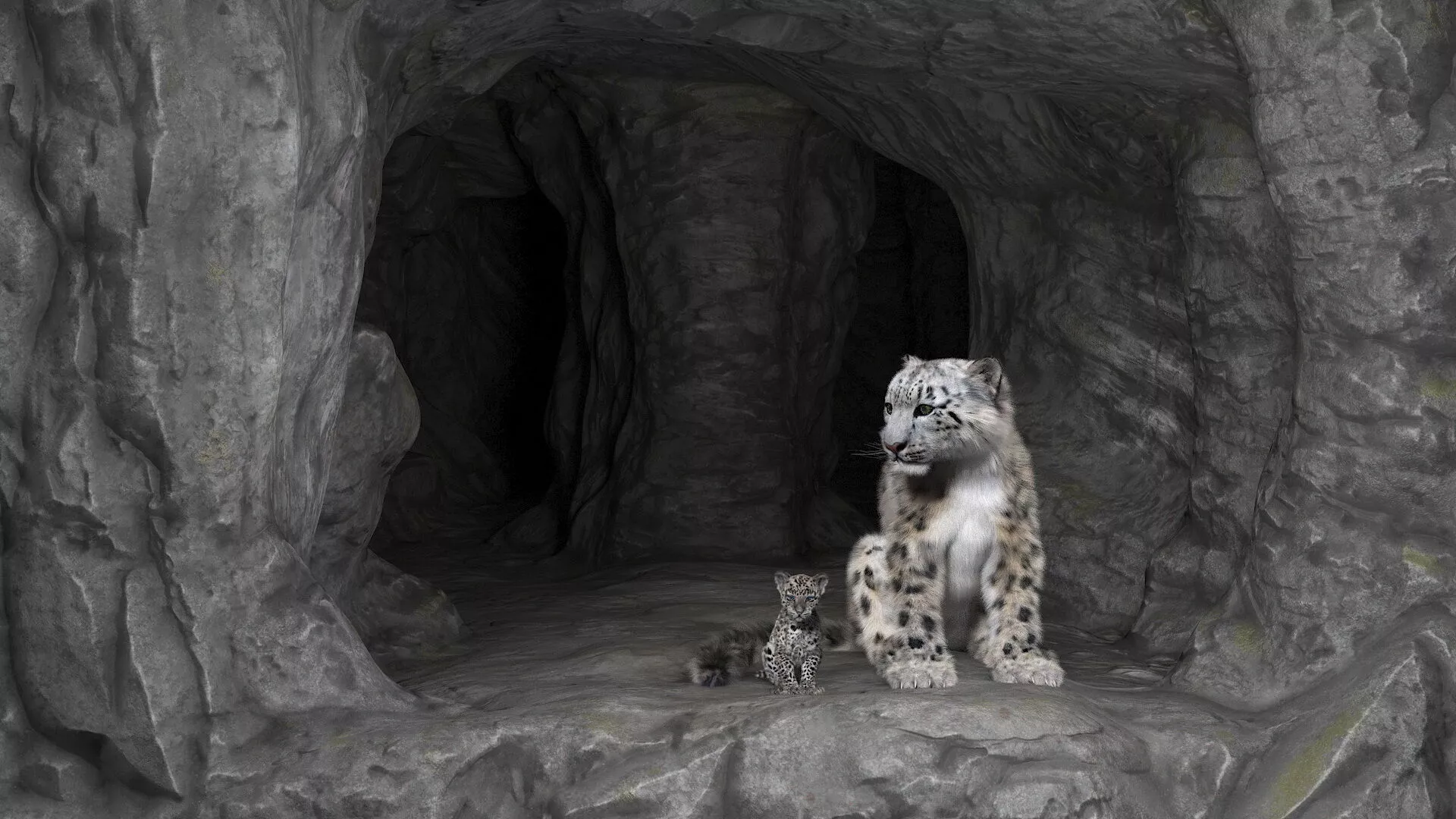Snow Leopard Mother and Calf in Cave Habitat Fur 3D model